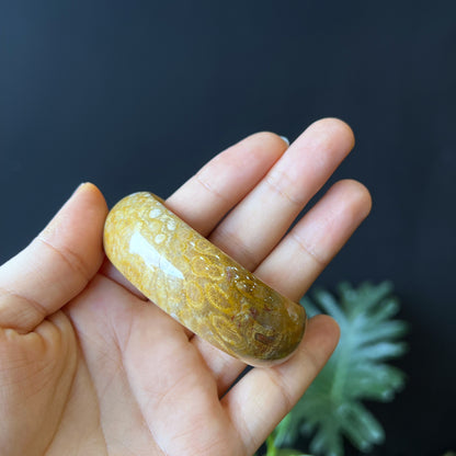 Natural Coral Fossil Bangle Leaf Style Size 52 mm