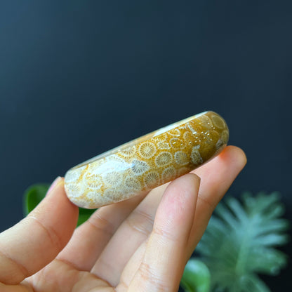 Bracelet Corail Fossil Style Feuille Taille 53 mm