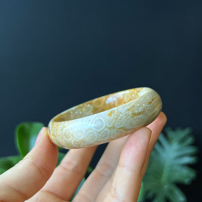 Bracelet Corail Fossil Style Feuille Taille 53 mm
