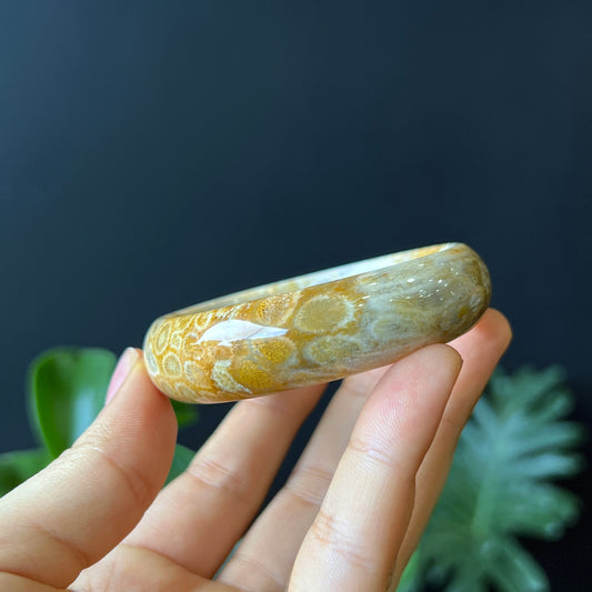 Natural Coral Fossil Bangle Leaf Style Size 53 mm