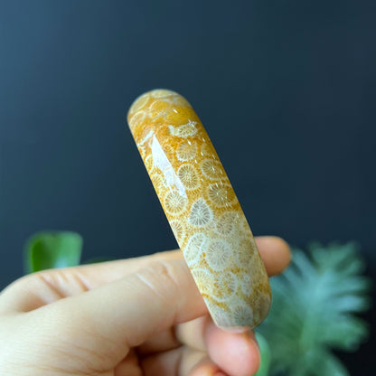 Bracelet Corail Fossil Style Feuille Taille 53 mm