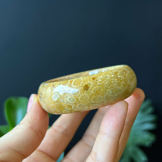 Natural Coral Fossil Bangle Leaf Style Size 51 mm
