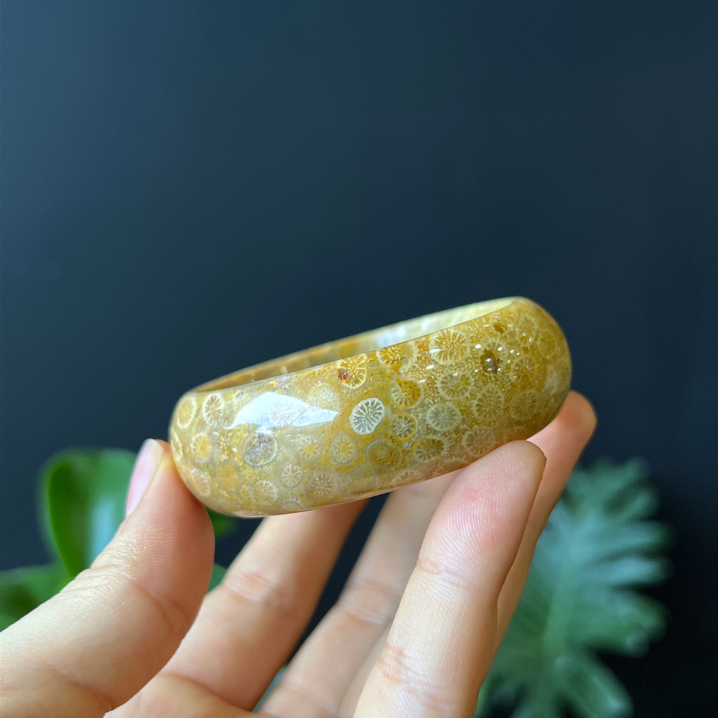 Natural Coral Fossil Bangle Leaf Style Size 51 mm