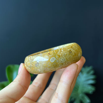 Natural Coral Fossil Bangle Leaf Style Size 51 mm
