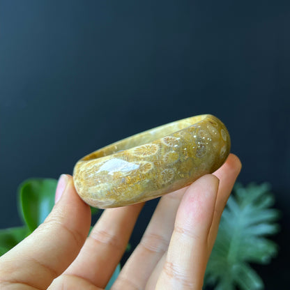 Natural Coral Fossil Bangle Leaf Style Size 51 mm