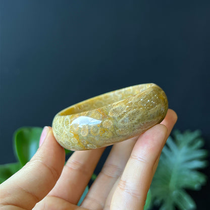 Natural Coral Fossil Bangle Leaf Style Size 51 mm
