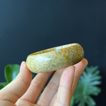 Natural Coral Fossil Bangle Leaf Style Size 51 mm