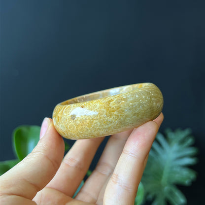 Natural Coral Fossil Bangle Leaf Style Size 51 mm