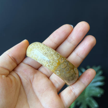 Natural Coral Fossil Bangle Leaf Style Size 51 mm